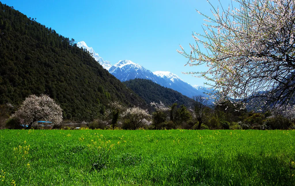 Adventures in Tibet Linzhi2.jpg