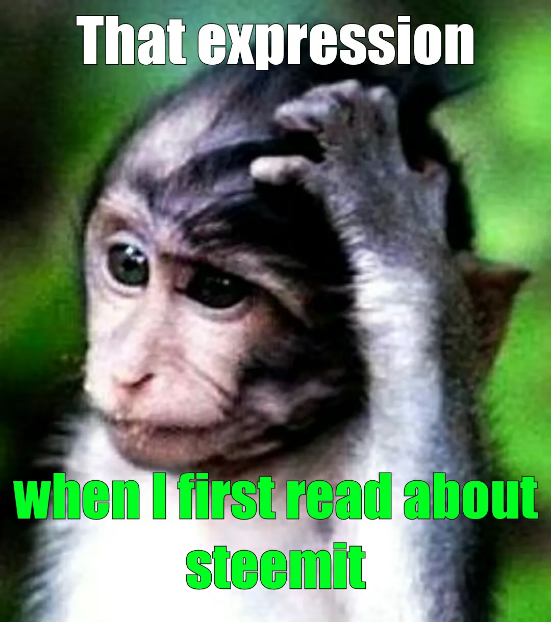 2017082213111962383_1503387705140.png