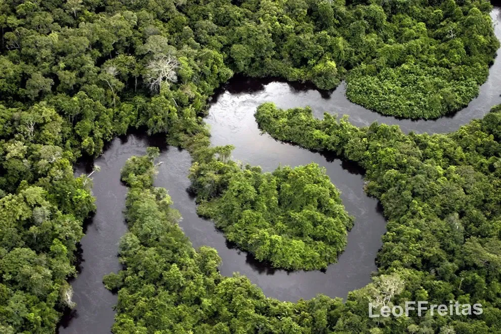 Amazonian-Forest-and-Renato-River.jpg