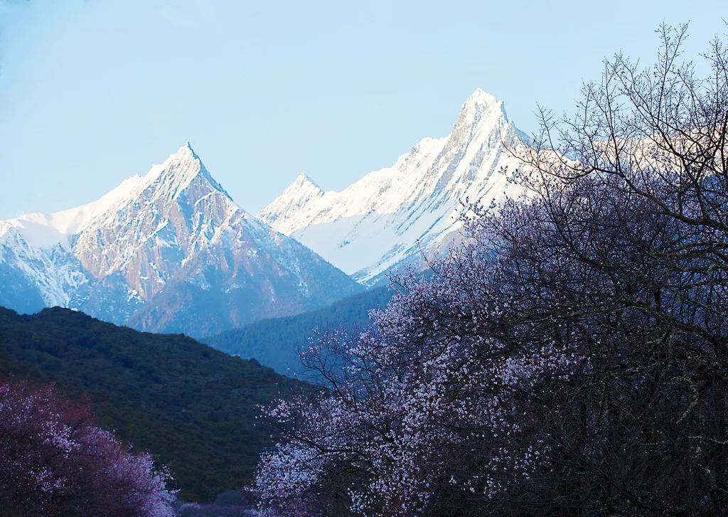 Adventures in Tibet Linzhi7.jpg