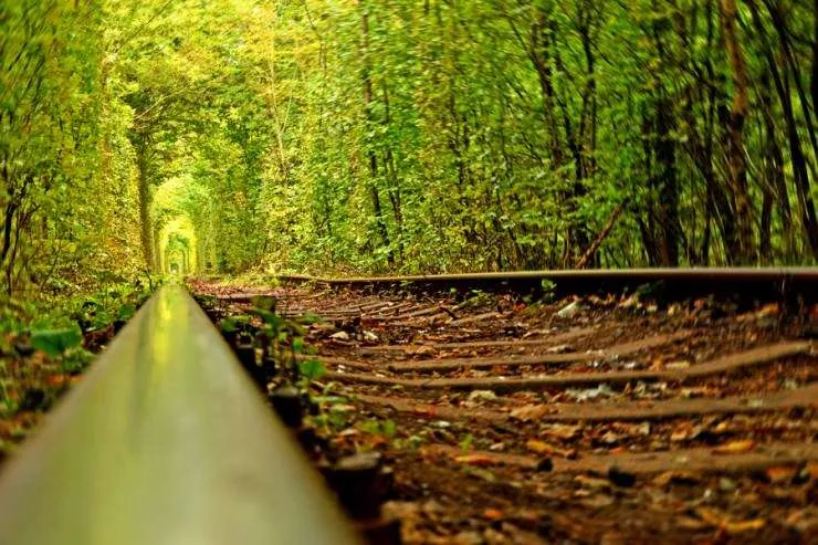 tunnel-of-love-in-ukraine-740x493.jpg