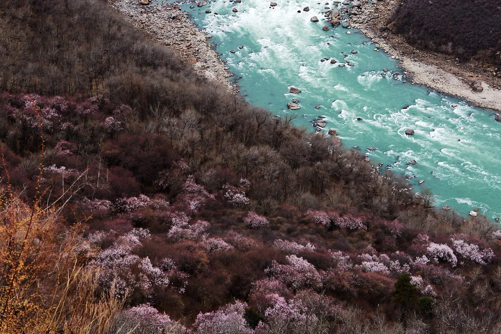 Adventures in Tibet Linzhi6.jpg