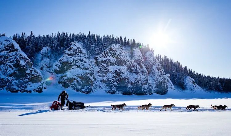 dallas-seavey-custom-sleddogtours.jpg