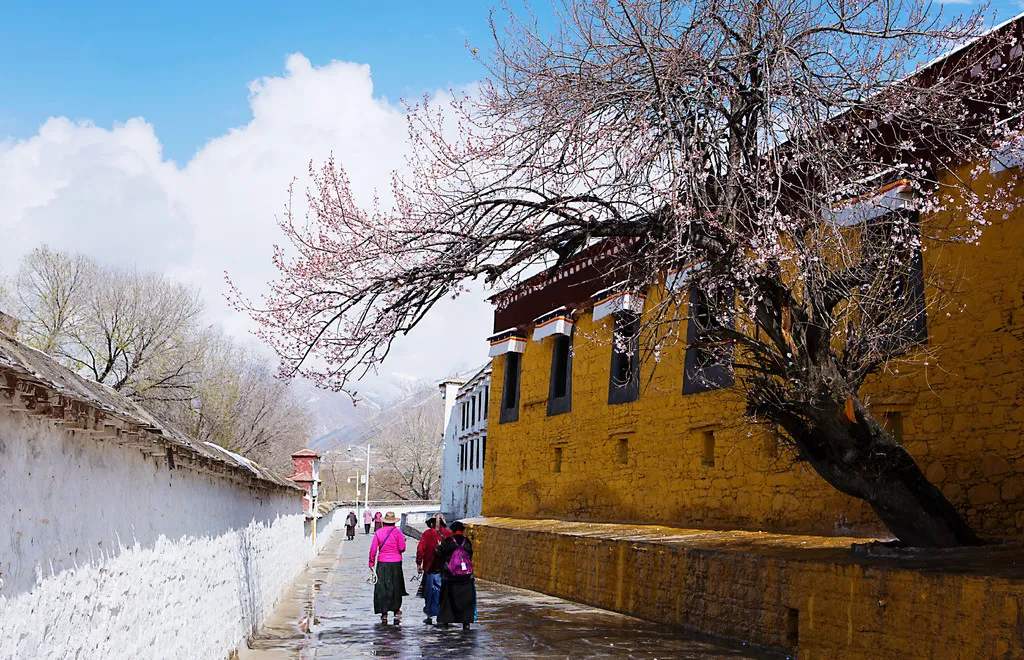 Adventures in Tibet Linzhi3.jpg
