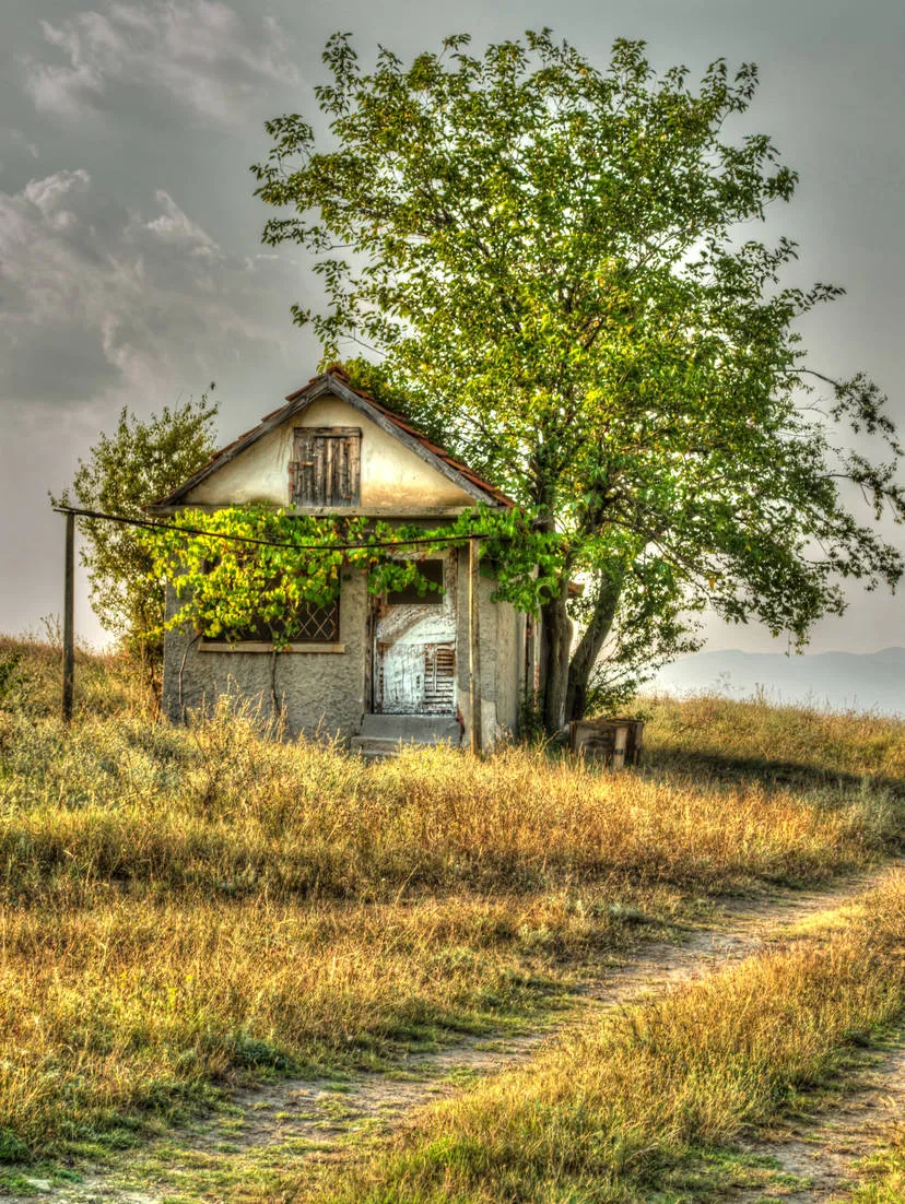 The Solitude of Timeworn Walls