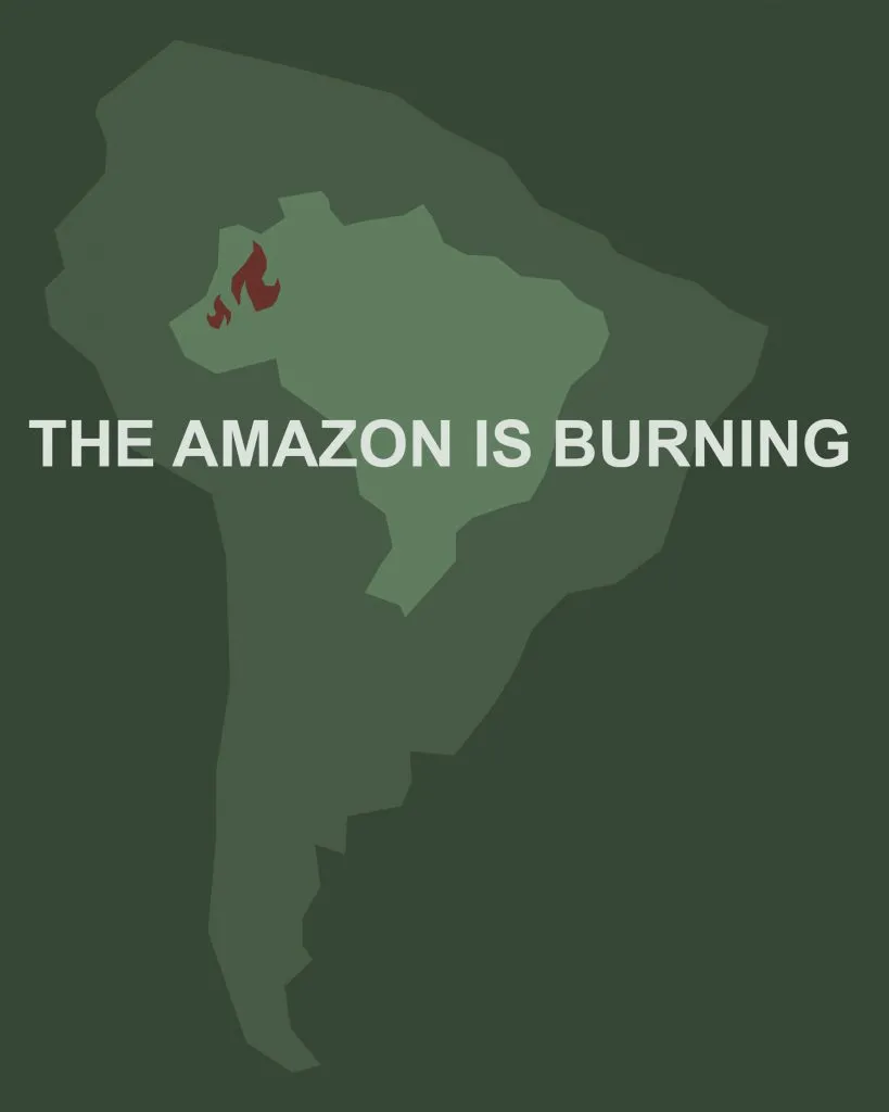 amazonas infografik