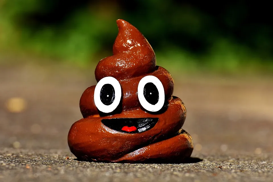 poop