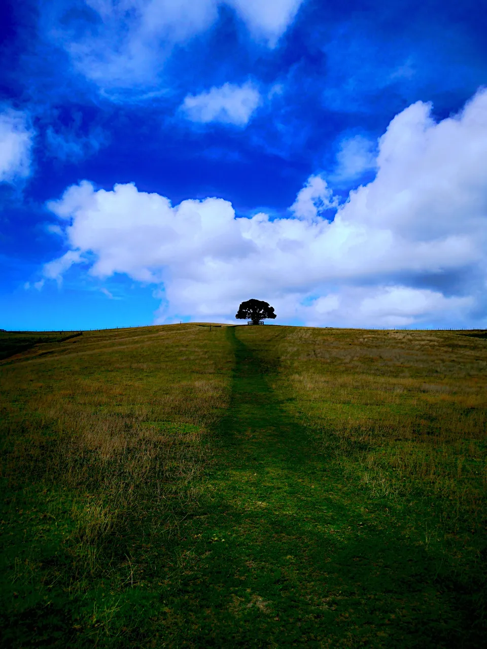 Tree2thm.jpg