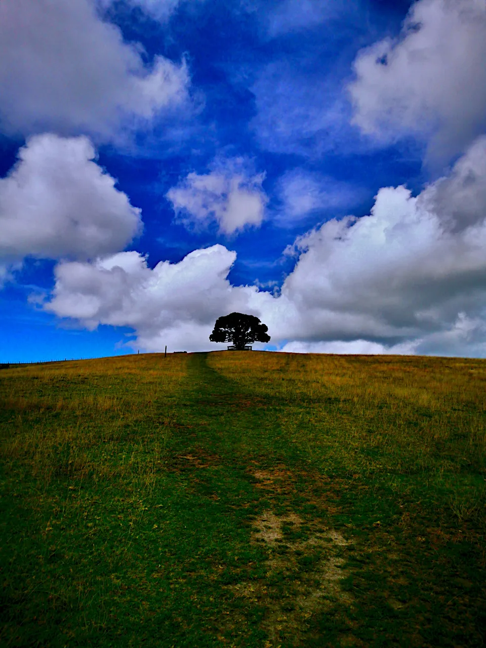 Tree4thm.jpg