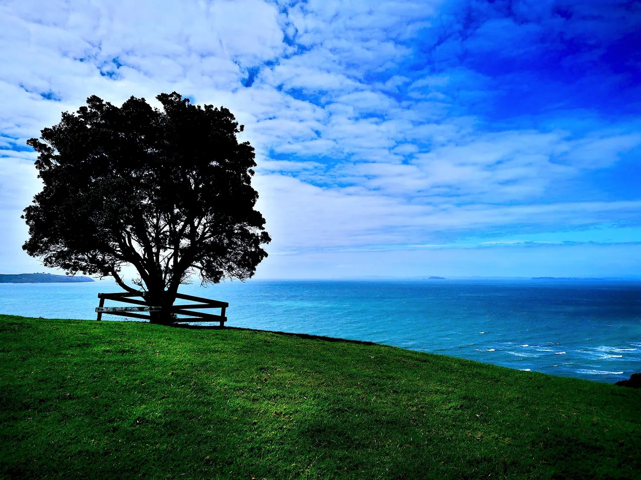 Tree8thm.jpg