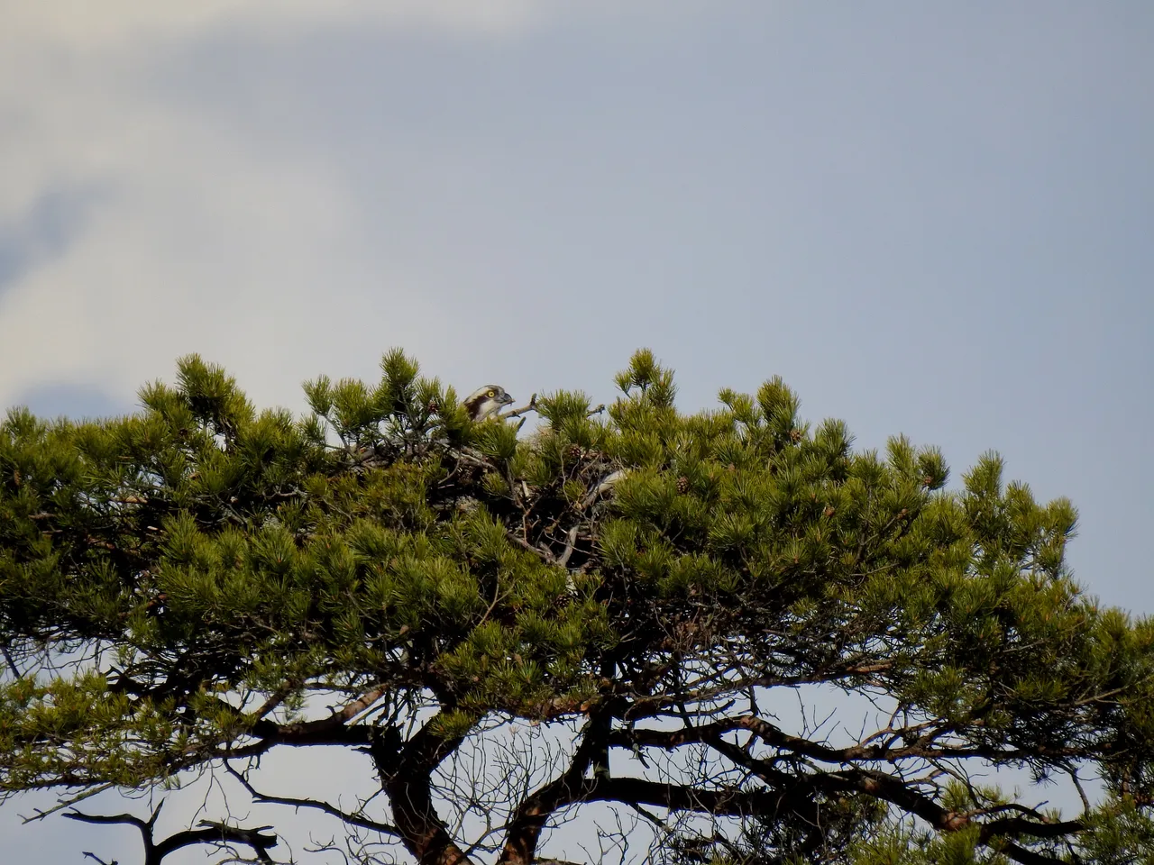 DSCN578114.jpg