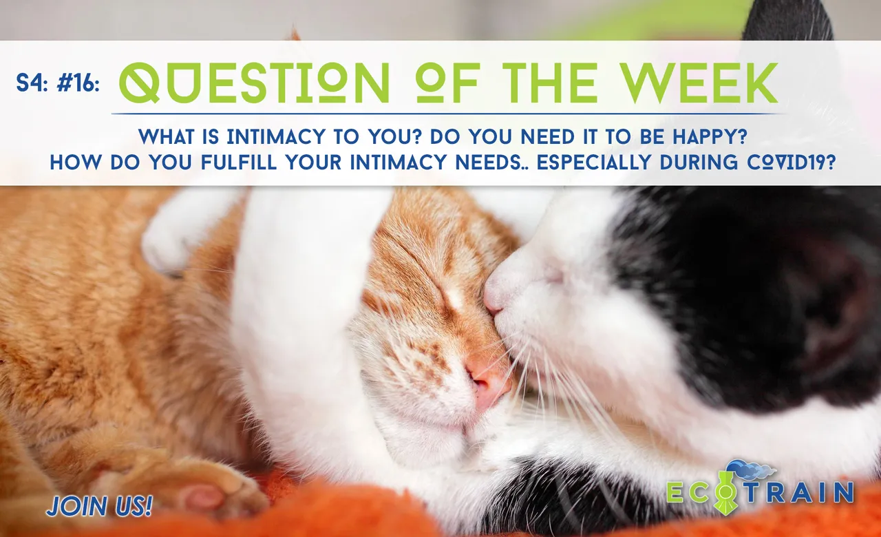 ecoTrain Question Of The Week: What is intimacy to you? Do you need it to be happy? How do you fulfill your intimacy needs.. especially during COVID19?