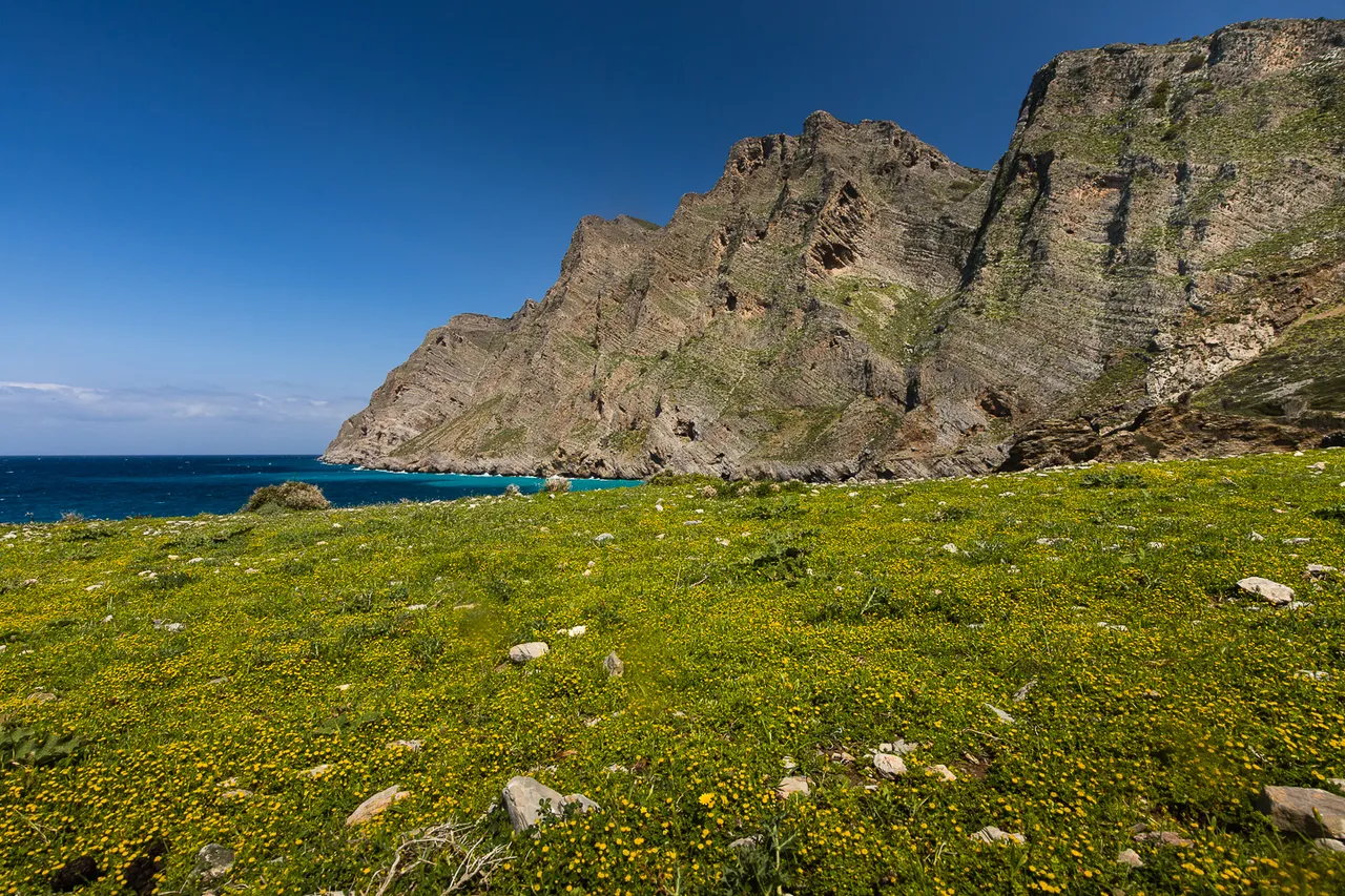 IMG_6993.jpg
