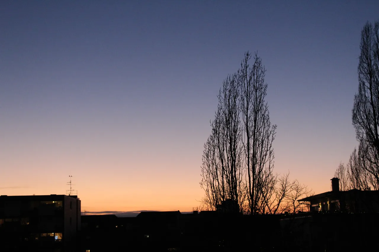 IMG_3788.JPG