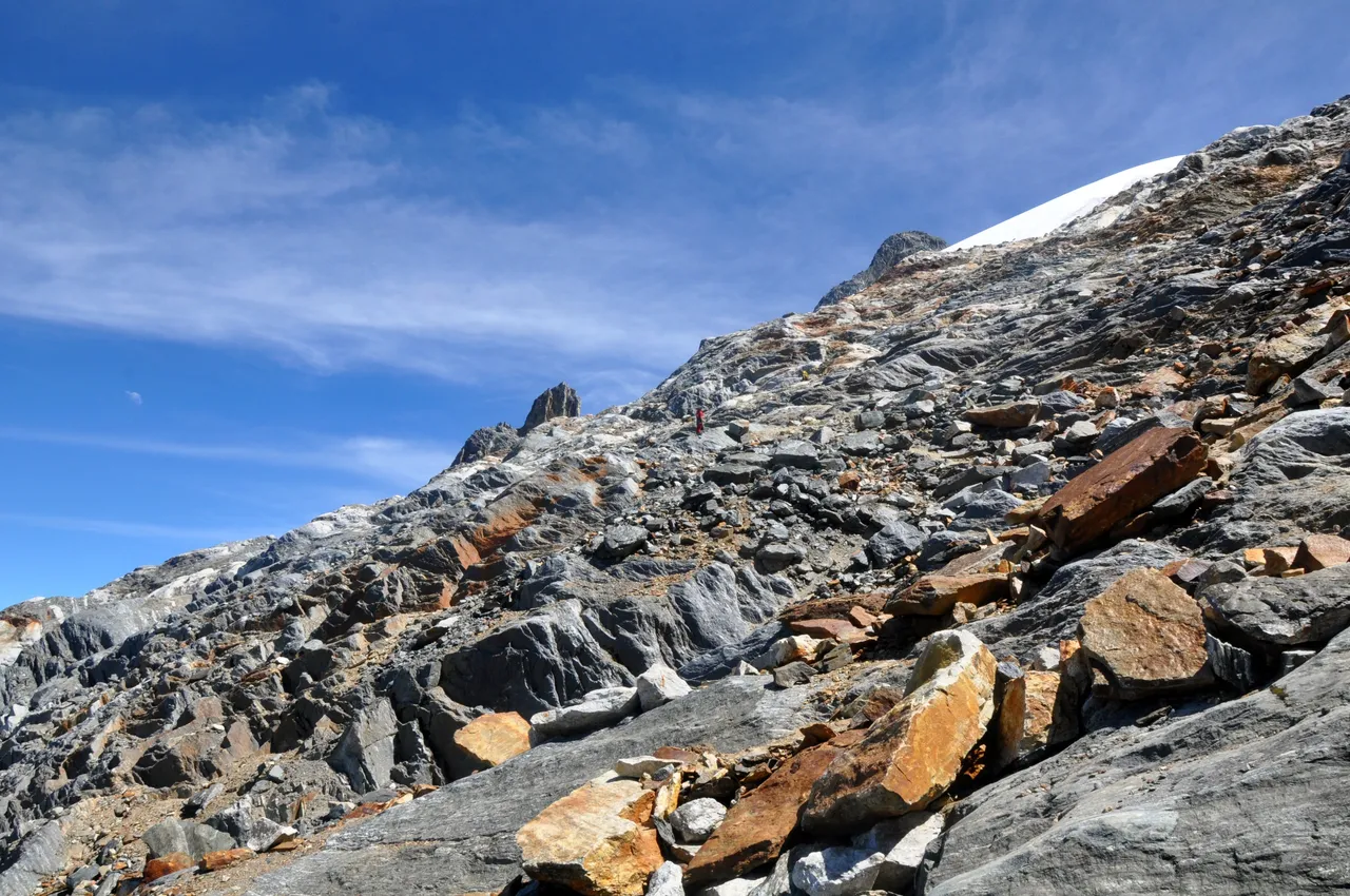 DSC_0206.JPG
