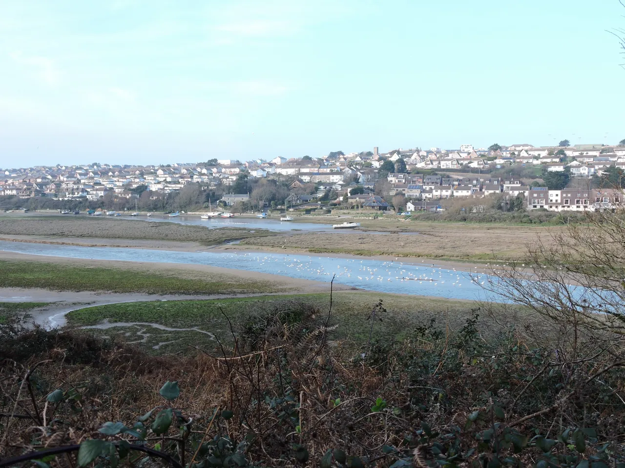 DSCN6311.JPG