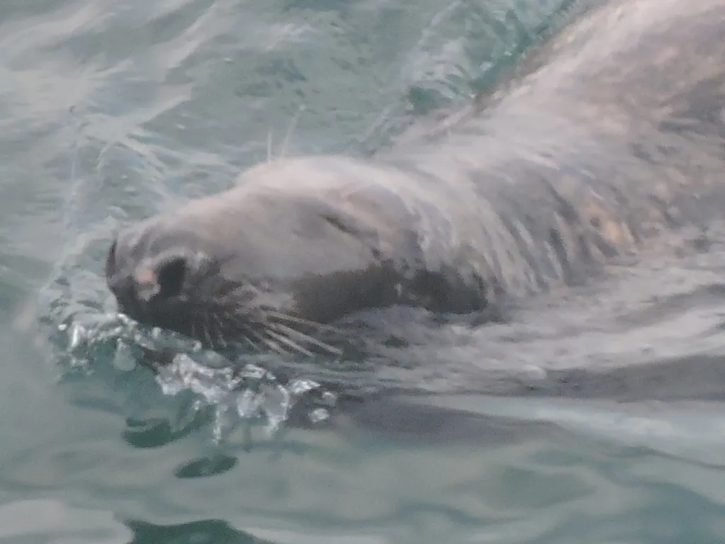 RSCN2548.JPG