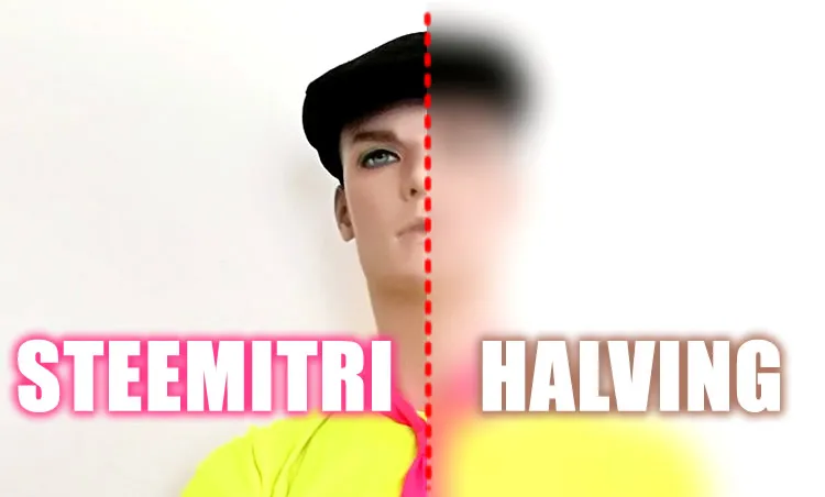 halving.jpg