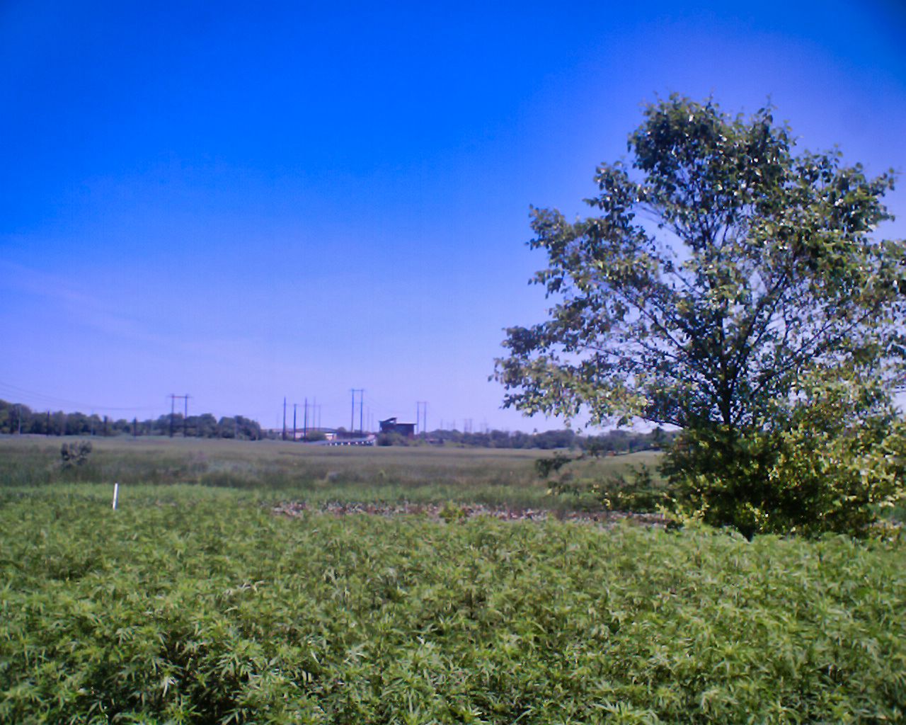 IMG_0014.jpeg