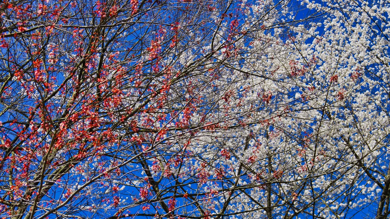_DSC7614.jpeg