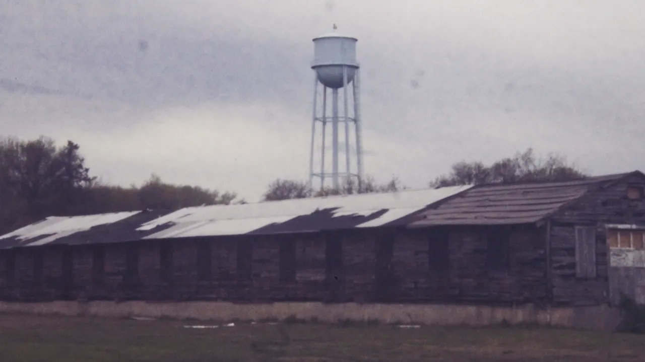 _DSC7858.jpeg