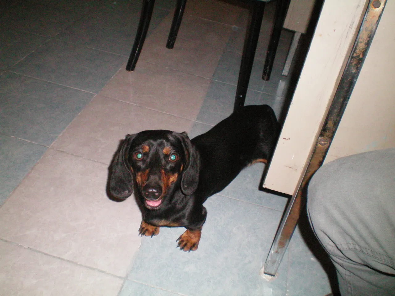 100_0043.JPG