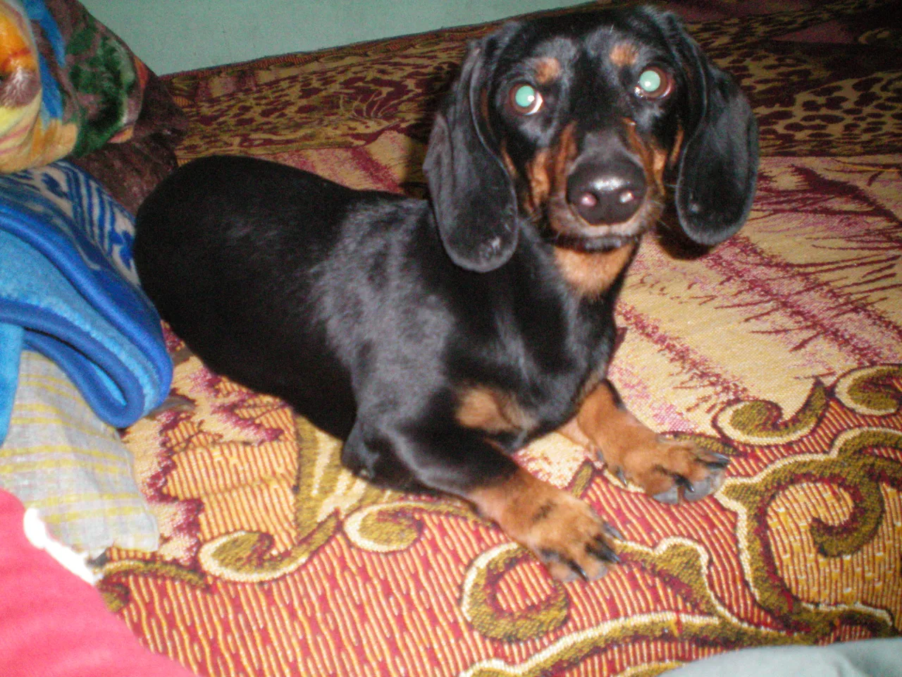 100_0049.JPG