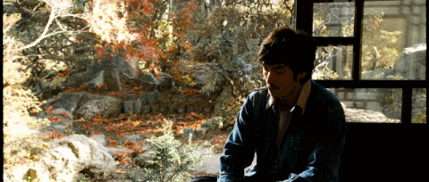 anigif6.gif