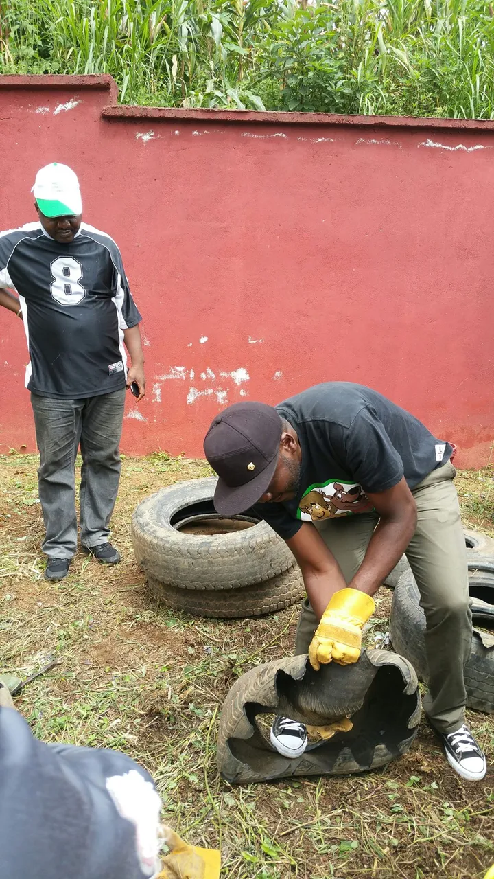 tire.jpg