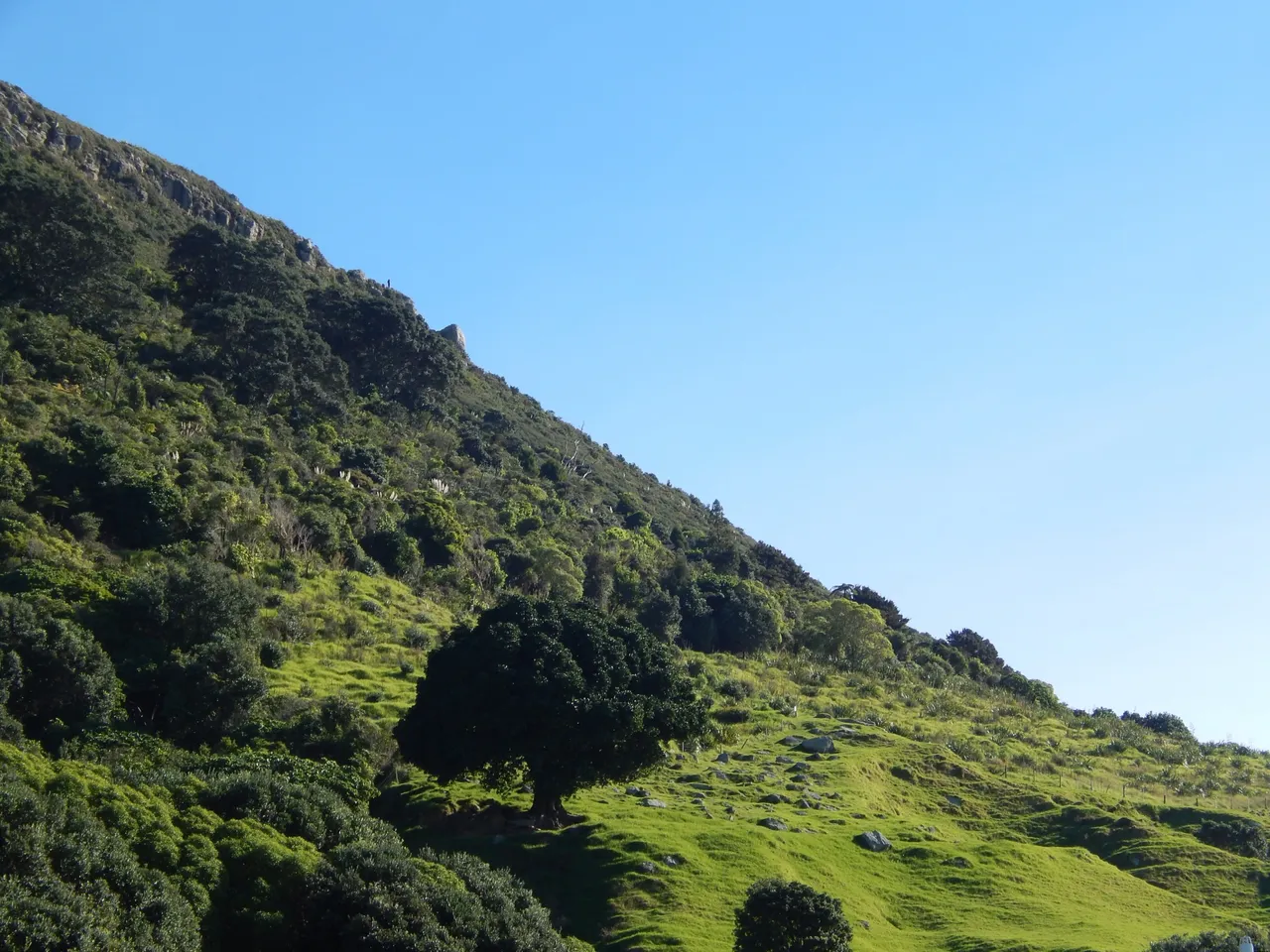 Mt. Manganui seaside