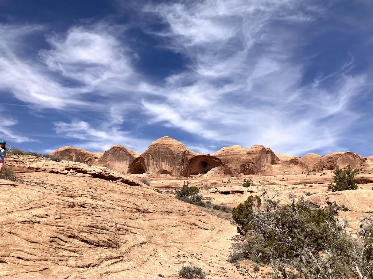 What a backdrop of a vibrant blue sky!