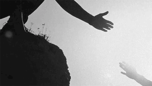 untitled.gif