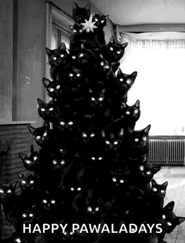 untitled.gif