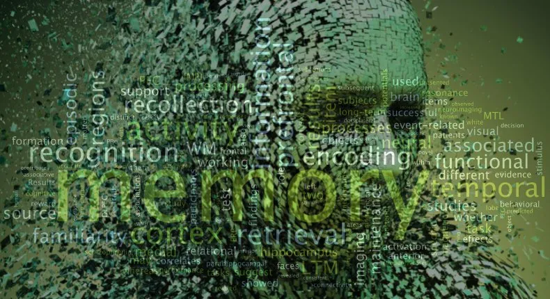 memory mind map_shattered head_RZ.jpg