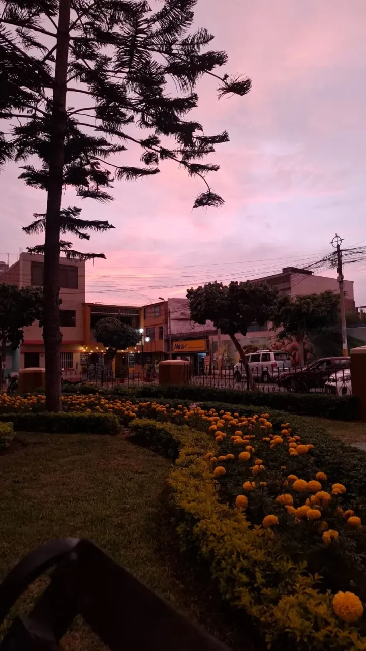XKa1hfWI73DdsJrp_WhatsApp_Image_2025-06-07_at_4.16.01_PM.webp