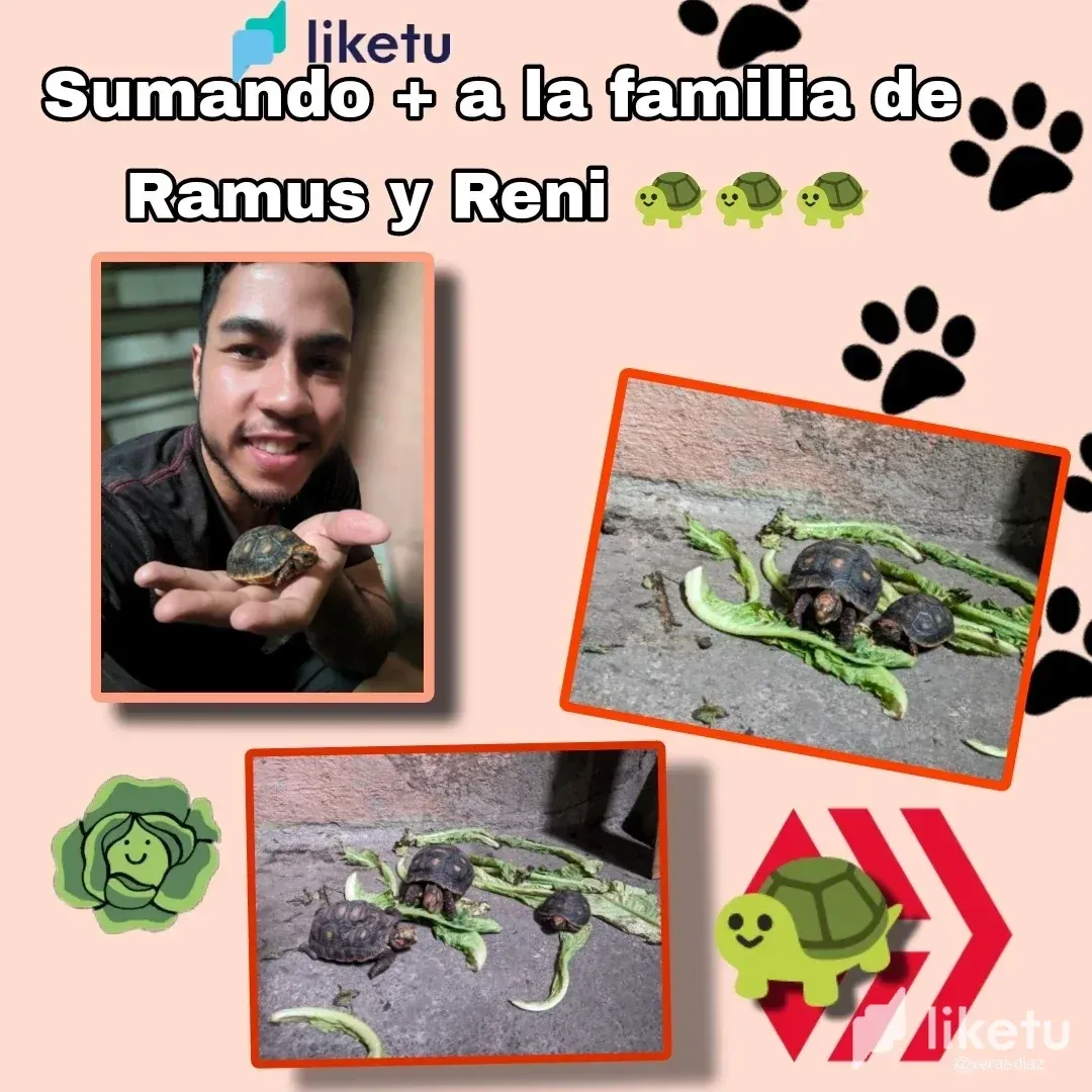 clwv76amd00yq4dsz7gfy17jn_Picsart_24-05-31_17-22-01-016.webp