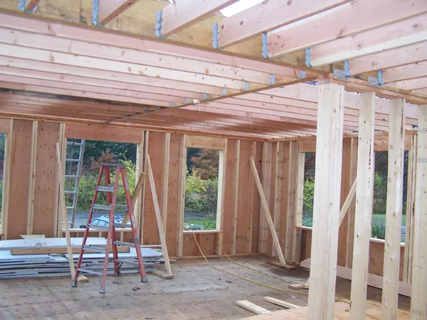 Construction - living room ceiling joists up1 crop October 2019.jpg