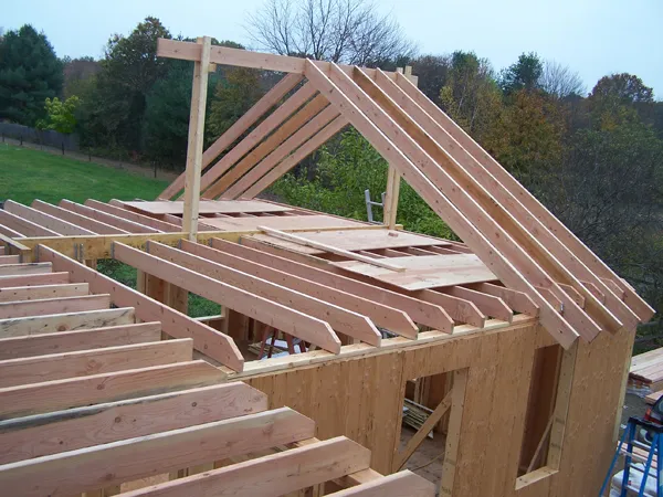 Construction - living room ceiling joists up2 crop October 2019.jpg