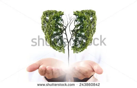stock-photo-conceptual-image-of-green-tree-in-hands-shaped-like-human-lungs-243860842.jpg