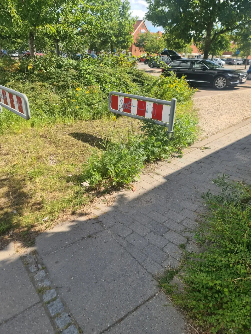 WH645HervZASl2VJ_20240805_105740.webp