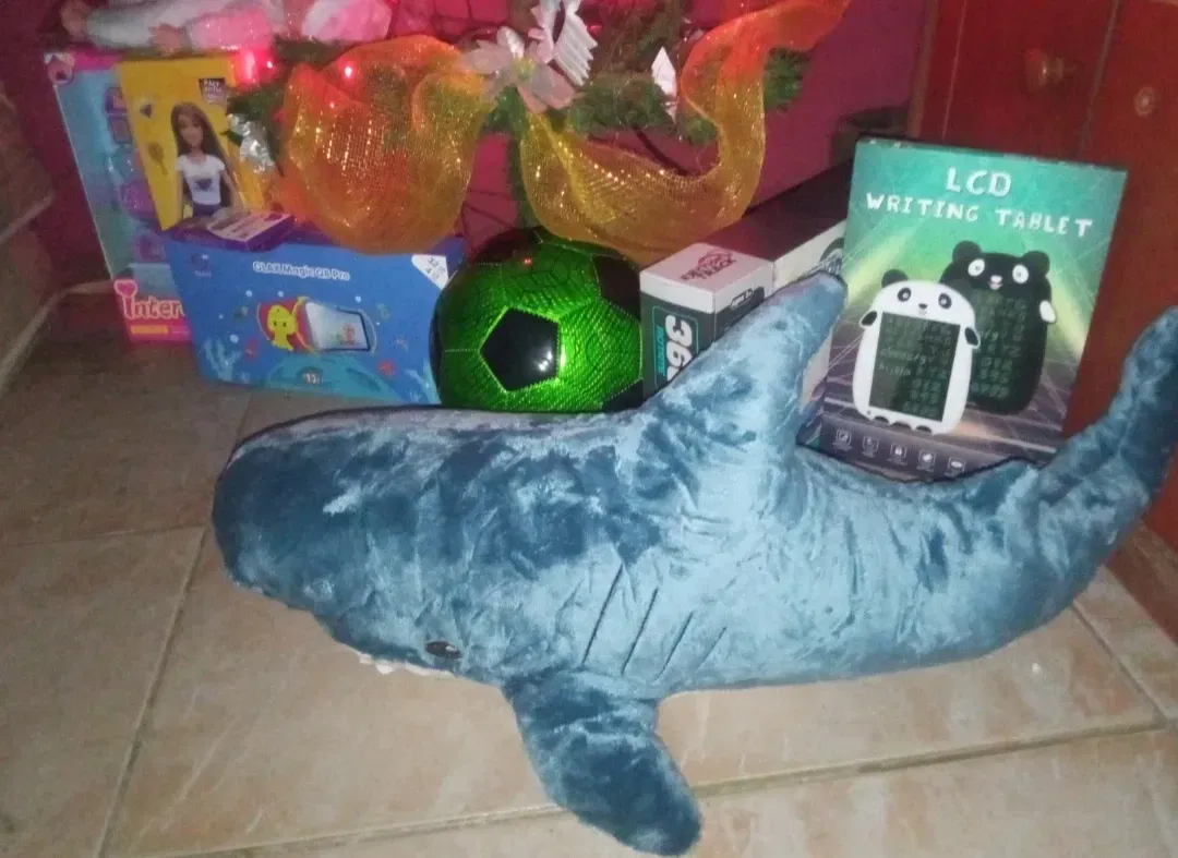 jX4Mz0AqVqFxVCSa_IMG_20241226_194418.webp