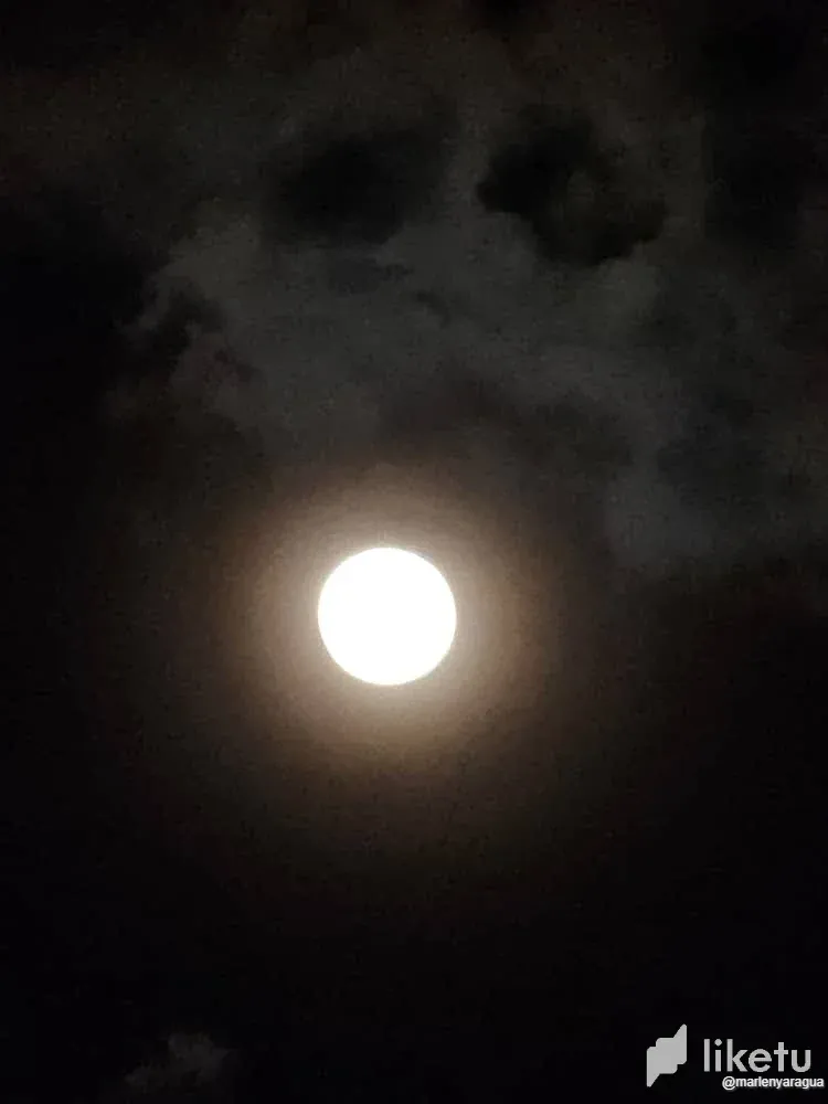 cln5oy6ai04a0b9sz57cncwc8_Luna_10.webp