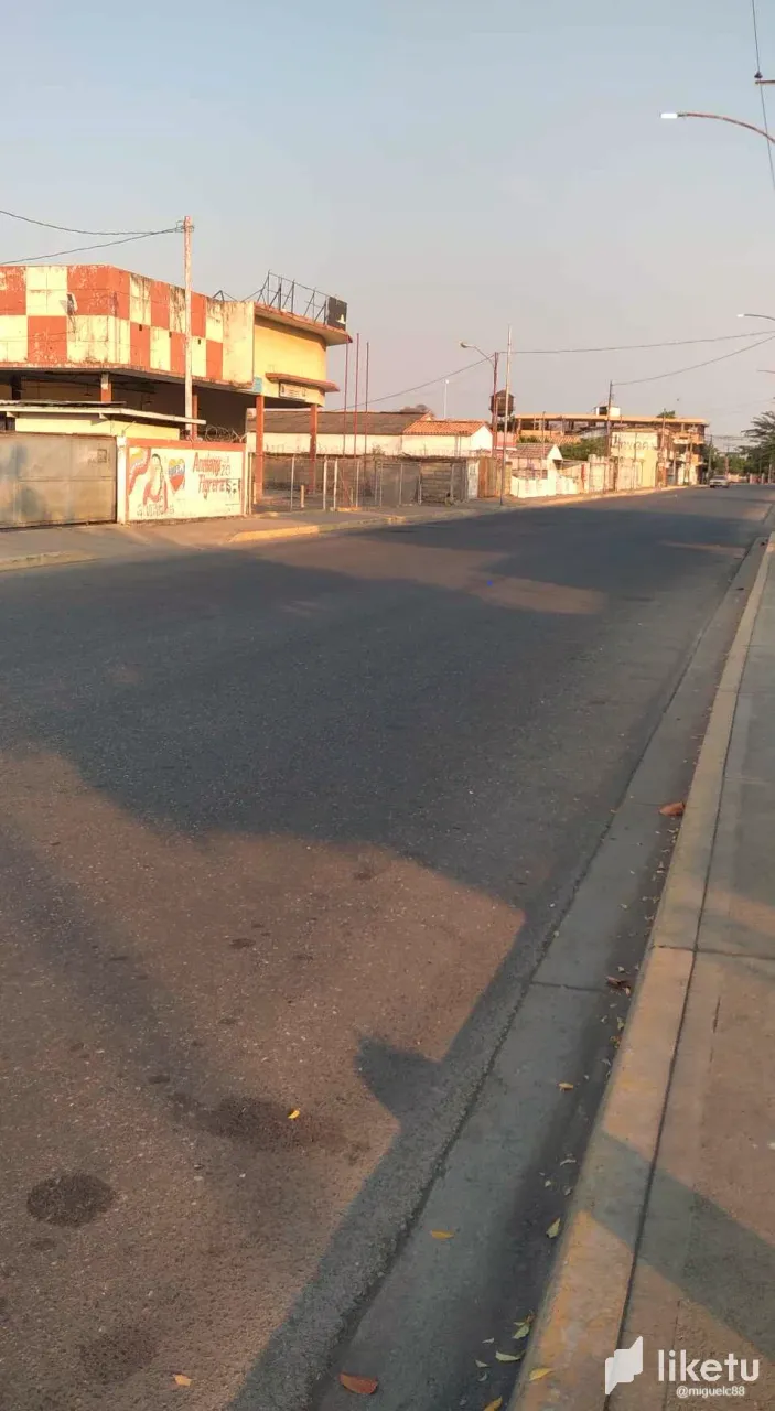 clv4lpnsf00uu4zszcj5wfdb5_rosario1n.webp