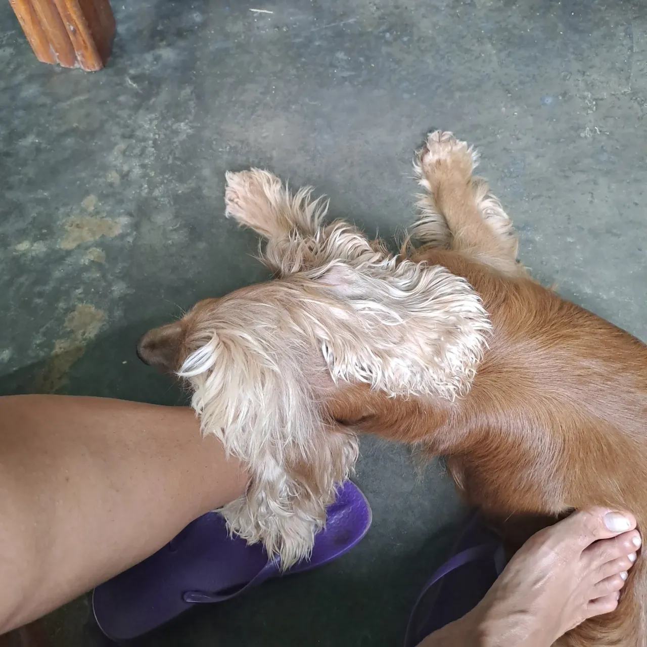 hQXdj2pah88eVjax_20250421_110122.webp