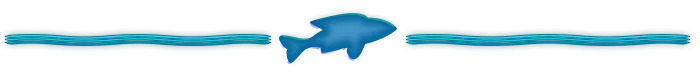 Barra espaciadora marina - copia.png