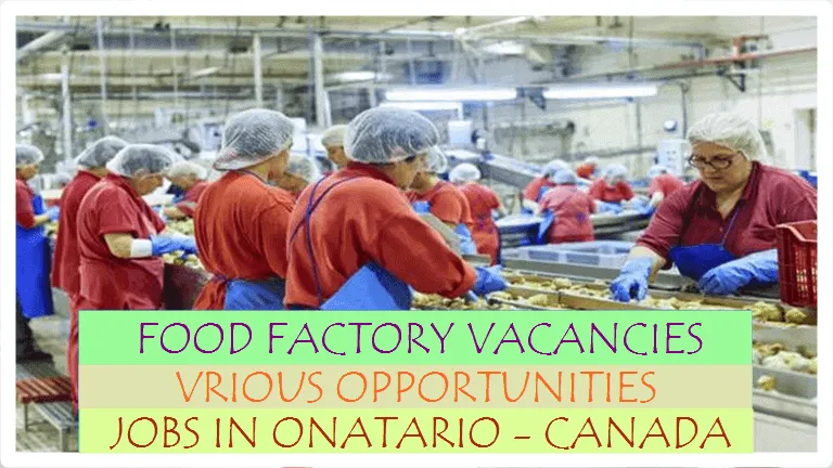 Food factory jobs ontario canada.PNG