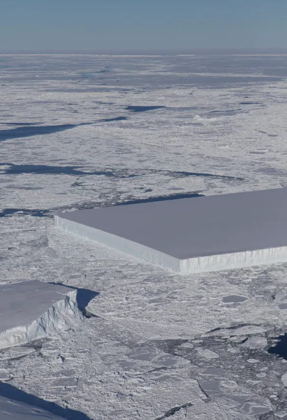 NASA Rectangle Rectangular Iceberg.png