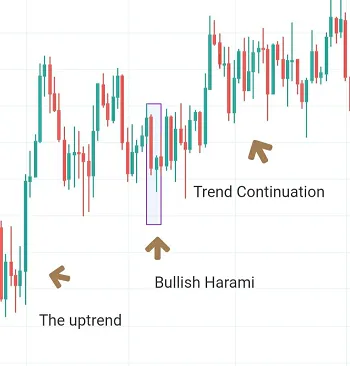 chart creadit - trading views(3)