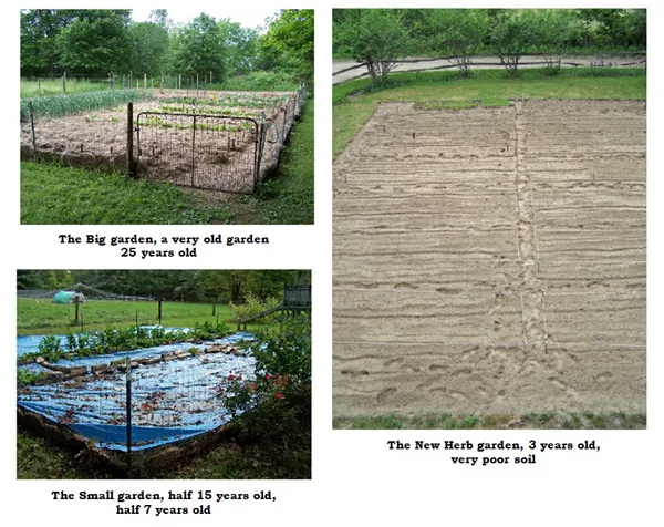 Garden Comparison with text crop.jpg