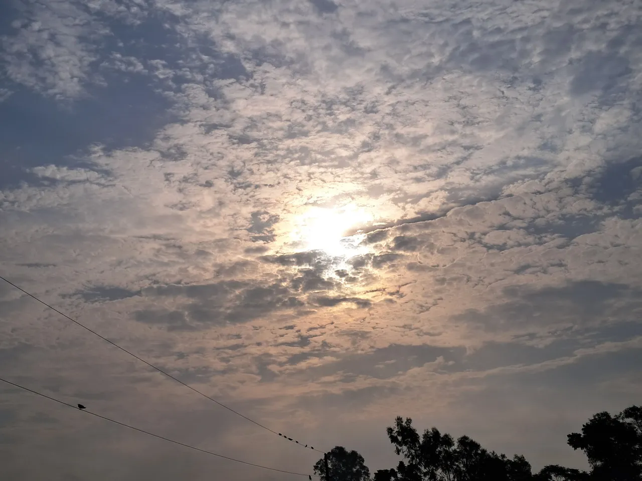 20250518_065634.jpg